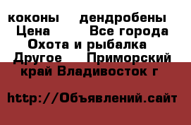 коконы    дендробены › Цена ­ 25 - Все города Охота и рыбалка » Другое   . Приморский край,Владивосток г.